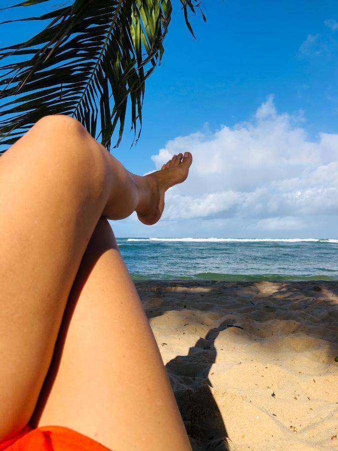 Cond Solar Lagoa Dos Passaros Praia do Forte Eksteriør bilde